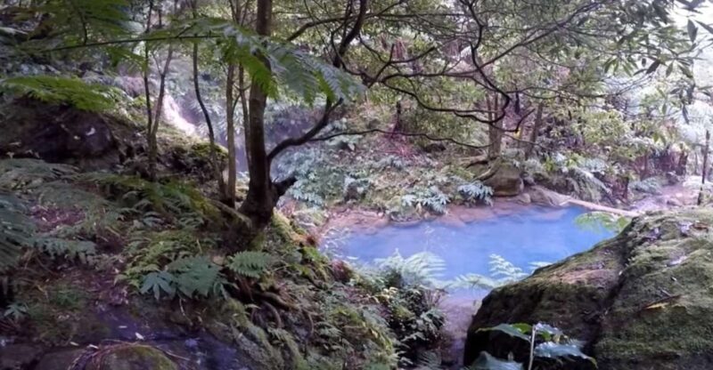 Lagoa do Fogo: Biologist-guided Volcano Geo Tour +Hotsprings - In The Sum Up: Who Will Love This Tour?
