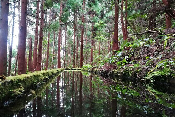 Lagoa do Fogo Walking Tour with Lunch from Ponta Delgada - FAQs About the Lagoa do Fogo Walking Tour