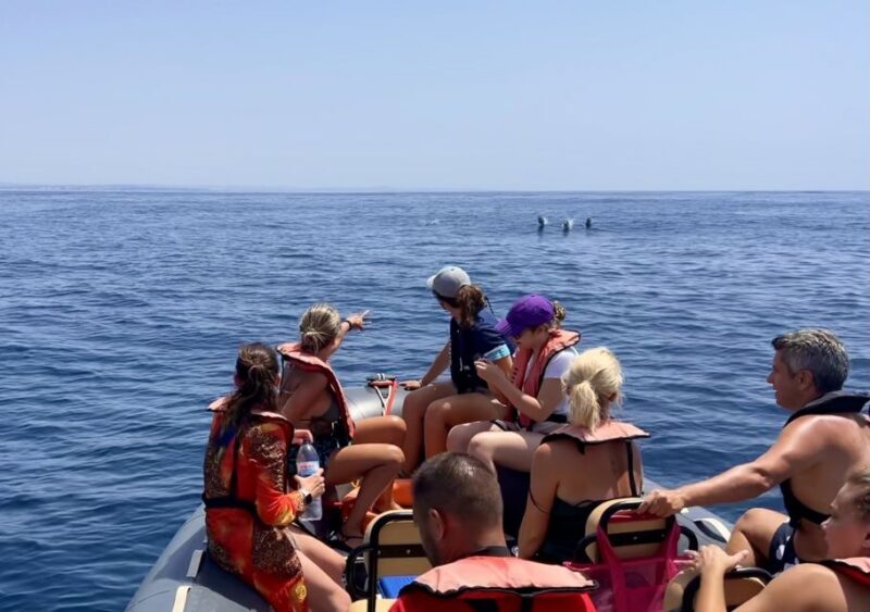Lagoa: Dolphin Watching & Benagil Tour with Biologist Guide - Key Points