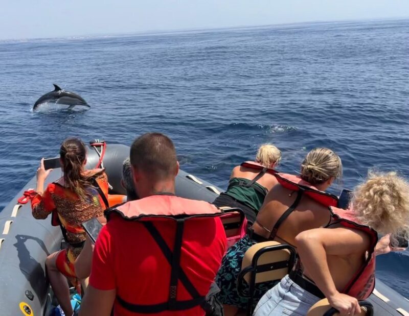 Lagoa: Dolphins Expedition with biologist guide on board - Value & Practical Tips