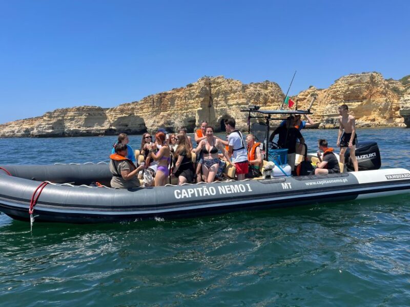 Lagoa: Dolphins Expedition with biologist guide on board - The Sum Up: Is This Tour for You?