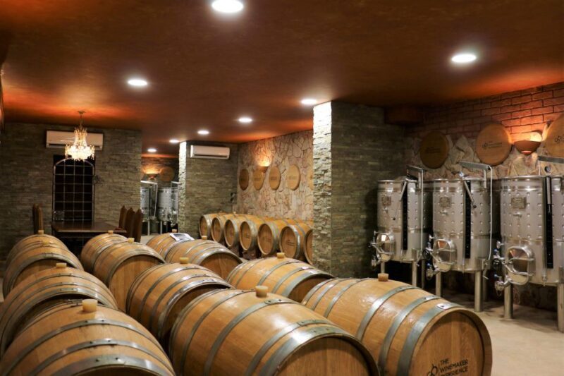 Lagoa: Guided Winery Tour and Local Wine Tasting - A Well-Rounded Experience for a Range of Travelers