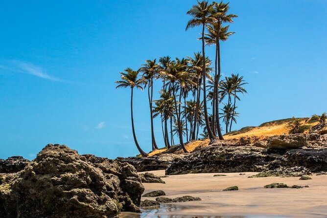 Lagoinha Beach Tour - Starting Point: Iracema Beach and Fortaleza