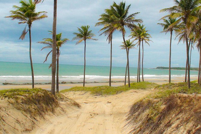 Lagoinha Beach Tour - Frequently Asked Questions