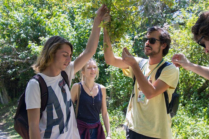 Lagoinha do Leste Hiking and Photography Tour in Florianopolis - The Sum Up