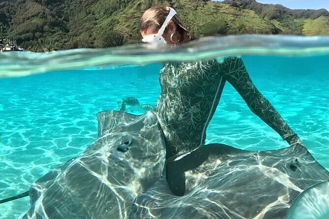 Lagoon and Marine Wildlife Tour in Moorea - A Closer Look at the Lagoon and Marine Wildlife Tour in Moorea