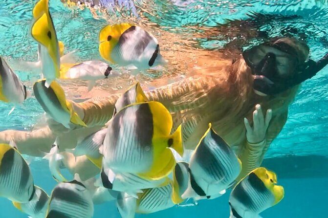 Lagoon and Marine Wildlife Tour in Moorea - Why You Should Book This Tour