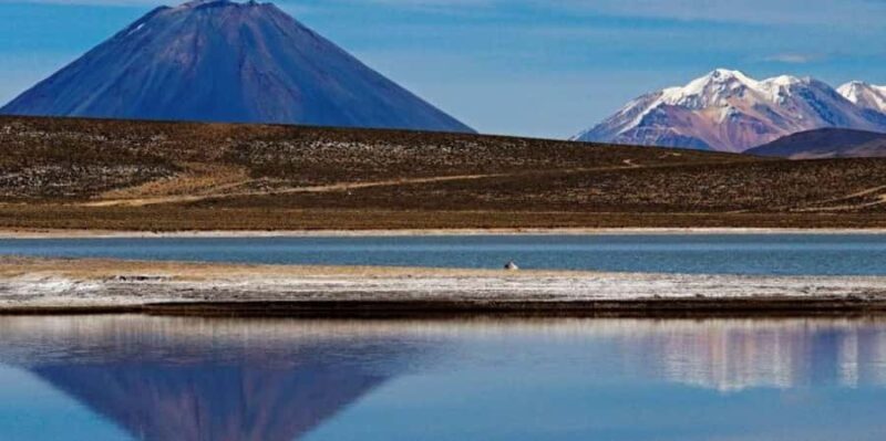 Lagoon and Salinas National Reserve in Arequipa - Practical Details and Value