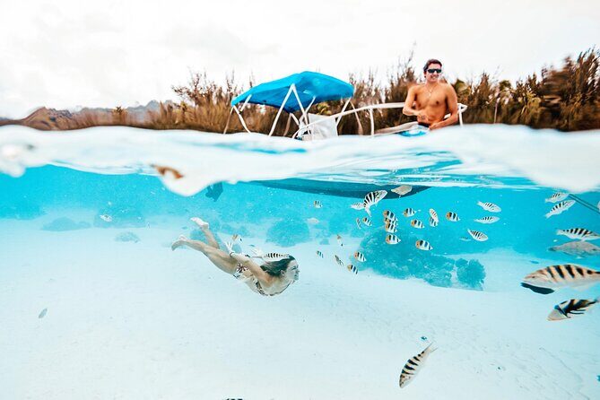 Lagoon and Wildlife Discovery on a Private Boat in Moorea - Exploring Moorea’s Lagoon and Wildlife on a Private Boat