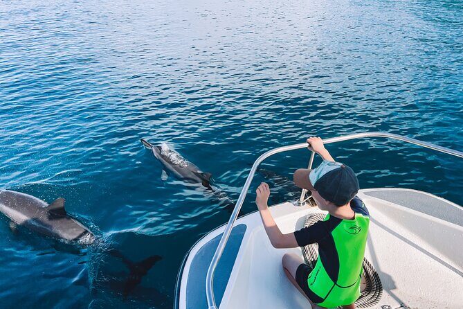 Lagoon and Wildlife Discovery on a Private Boat in Moorea - Who Should Book This Tour?