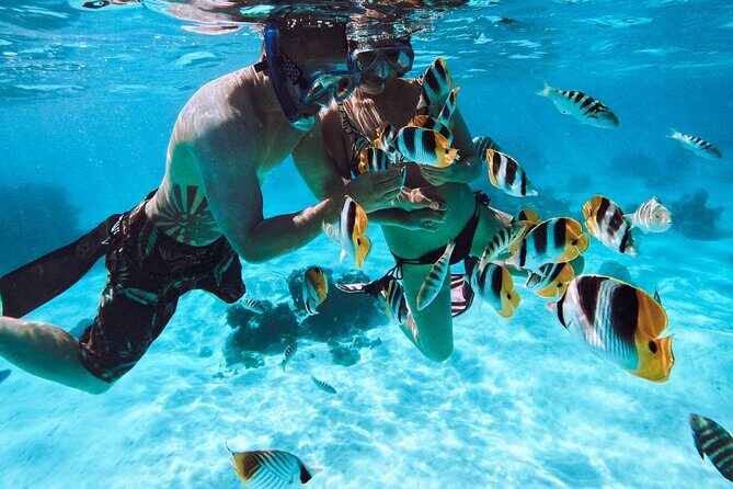 Lagoon and Wildlife Discovery on a Private Boat in Moorea - The Sum Up: Is This Tour Worth It?