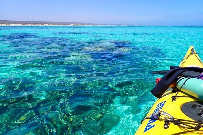 Lagoon Explorer - Ningaloo Reef Full-Day Kayaking and Snorkeling Adventure - The Sum Up