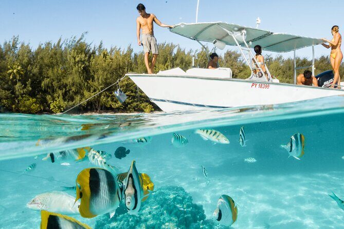 Lagoon Tour in Moorea in Small Group with Lunch - Why We Think This Tour Shines