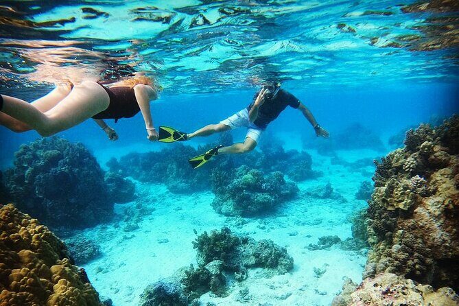 Lagoon Tour in Moorea in Small Group with Lunch - Additional Resources