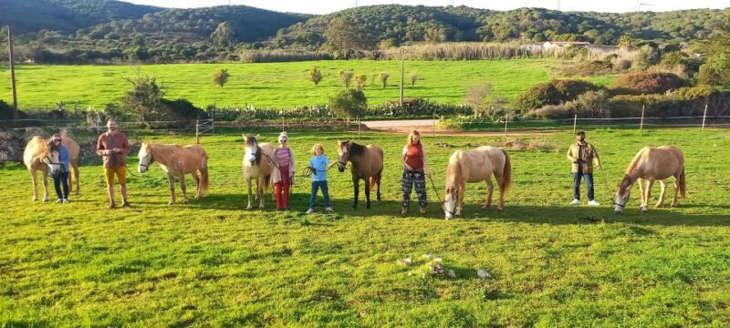 Lagos: A walk with a rescued horse at the sanctuary - Lagos: A walk with a rescued horse at the sanctuary