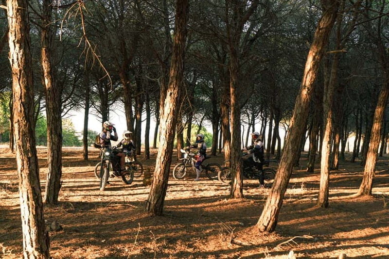 Lagos, Algarve: Adventure Tours on Surron Electric Dirtbikes - An Authentic, Thrilling Way to Discover the Algarve