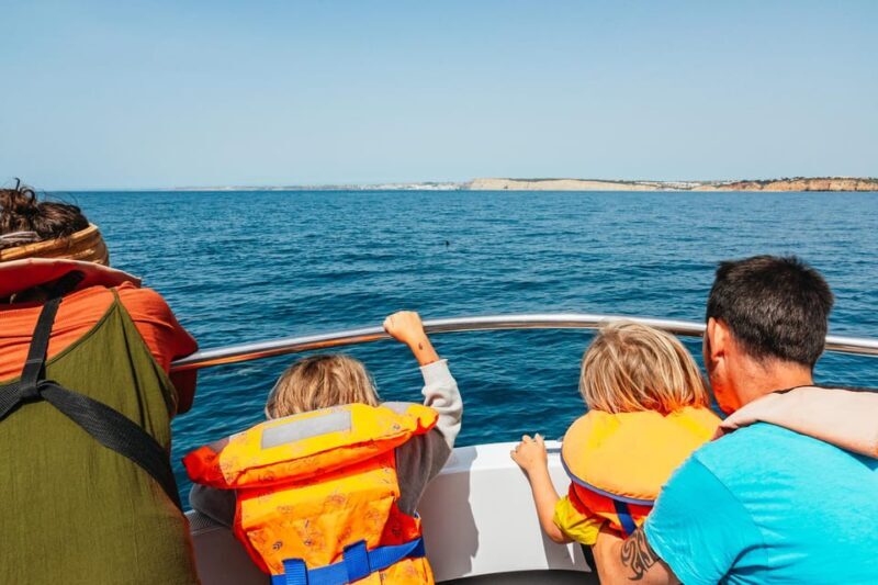 Lagos: Dolphin Watch Tour with Professional Marine Biologist - An In-Depth Look at the Lagos Dolphin-Watching Adventure