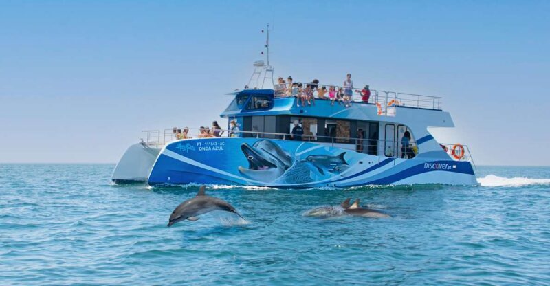 Lagos: Dolphin Watching Half-Day Cruise & Water Activities - An In-Depth Look at the Lagos Dolphin & Water Activity Tour