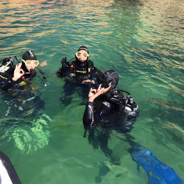 Lagos: Guided Scuba Diving Trip for Beginners - Authenticity and Reviews