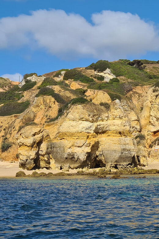 Lagos: Privat Trip up to 11 Pax to Grottos Ponta da Piedade - Frequently Asked Questions