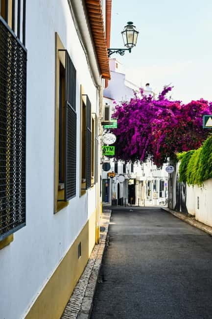 Lagos to Sagres Coastline & City Private Guided Tour - An In-Depth Look at the Lagos to Sagres Coastal Tour
