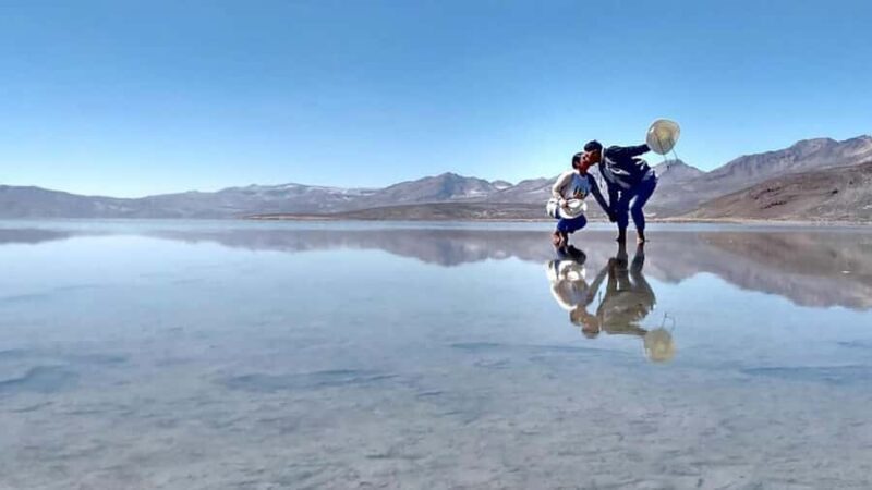Laguna and Salar de Salinas with a panoramic view of the Misti and Chachani Volcanoes. - A Closer Look at the Tour Experience
