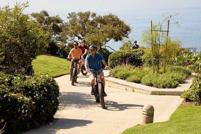 Laguna Beach Backroads Electric Bike Tour - Who Will Love This Tour?