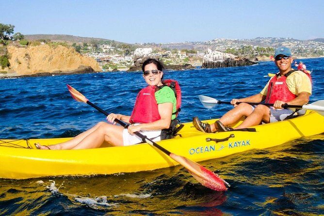 Laguna Beach Kayak Tour with Sea Lion Viewing - A Detailed Look at the Laguna Beach Kayak Experience