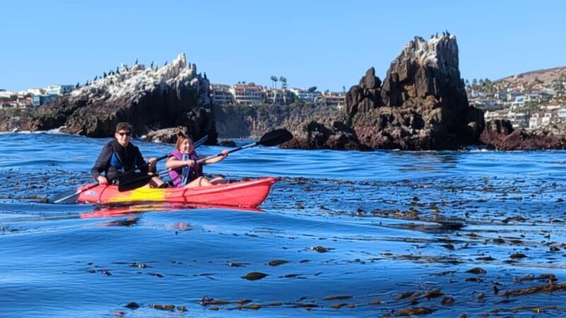 Laguna Beach: Ocean Kayak Private Tour with Guide - How the Experience Compares to Other Lake and Coastal Tours