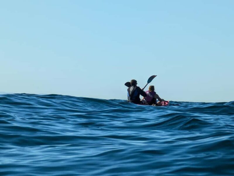 Laguna Beach: Ocean Kayak Private Tour with Guide - Final Thoughts: Who Will Love This Tour?