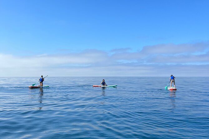 Laguna Beach Stand Up Paddle Activity - Key Points