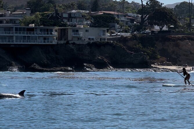 Laguna Beach Stand Up Paddle Activity - Why Choose This Paddleboard Tour?