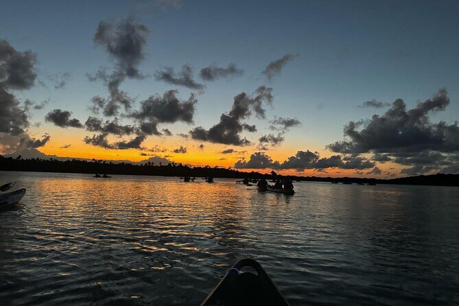 Laguna Grande Night Kayaking Bio Bay - Key Points