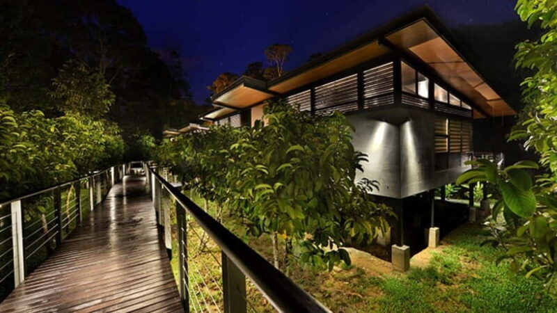 Lahad Datu: 3-Day Danum Valley Rainforest Adventure - What the Tour Includes and What You Should Budget For