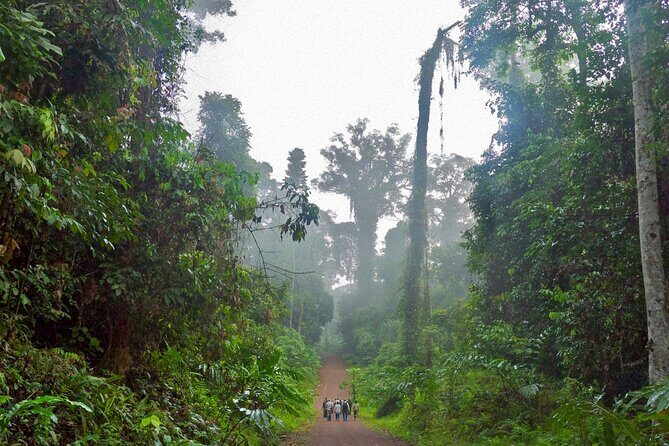 Lahad Datu: 3D2N Danum Valley Lost World Expedition with Transfer - Who Is This Tour Best For?