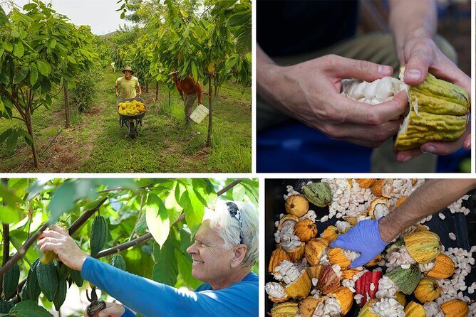 Lahaina: Maui Ku'ia Estate Guided Cacao Farm Tour and Tasting - Final Thoughts