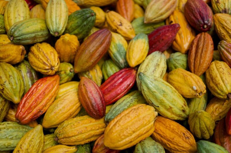Lahaina: Maui Ku'ia Estate Guided Cacao Farm Tour & Tasting - Practical Details & Considerations