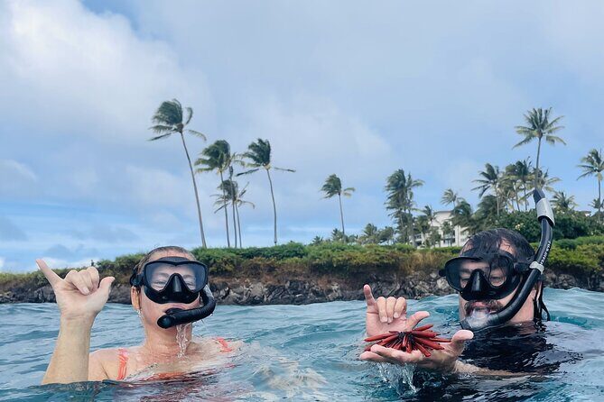 Lahaina Reef Snorkeling Adventure in Maui - Key Points