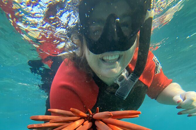 Lahaina Reef Snorkeling Adventure in Maui - Final Thoughts: Who Should Consider This Tour?