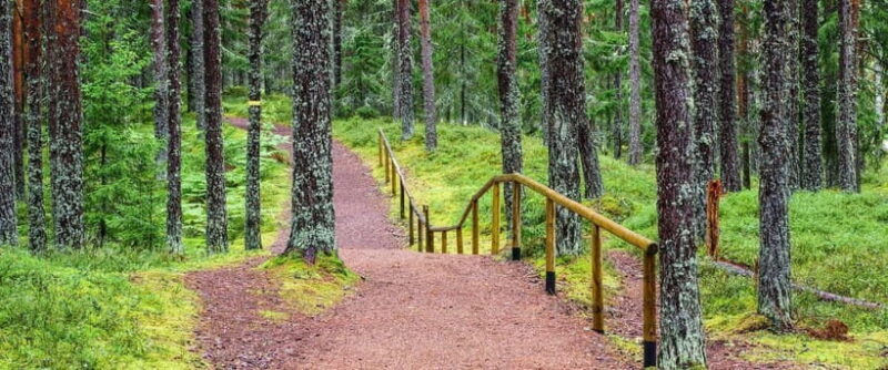 Lahemaa: VIP Tour to Estonias Oldest National Park - An In-Depth Look at the Lahemaa VIP Tour