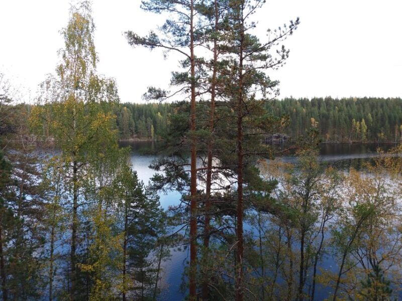 Lahti: Guided Hiking Tour to Kalliojärvi Lake - Key Points