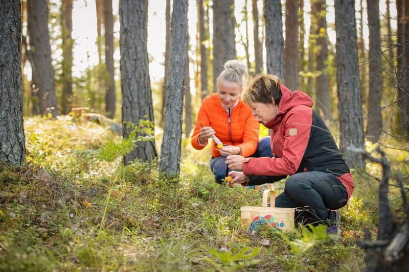 Lahti: Wild Food Foraging Tour with Tastings - Who Will Enjoy This Tour?