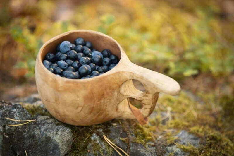Lahti: Wild Food Foraging Tour with Tastings - FAQ