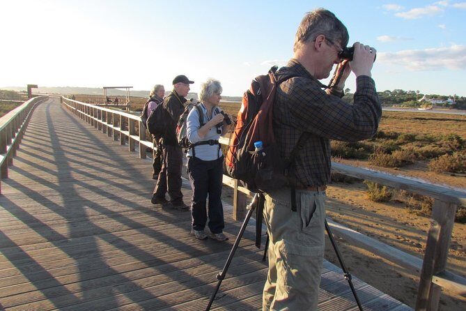 Laid-back birdwatching week - Laid-back Birdwatching Week in Lagos, Portugal: A Gentle Exploration of Nature and Culture