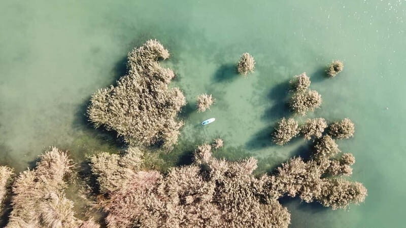 Lake Balaton 3 hour SUP tour - self-guided - Who Should Consider This Tour?
