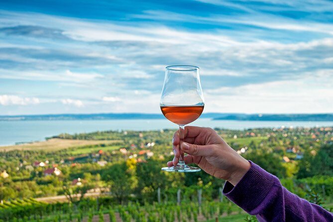 Lake Balaton Full Day Private Wine Tour - Who Should Consider This Tour?