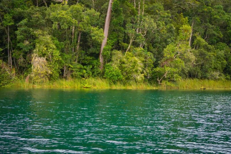 Lake Barrine Boat Cruise  Discover Queenslands Hidden Gem - Final Thoughts