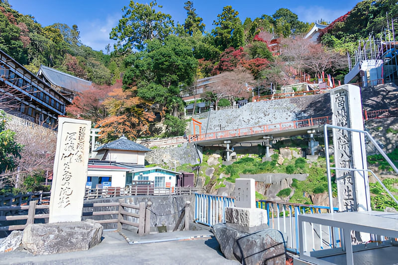 Lake Biwa Customizable One Day Charter Car Trip from Kyoto/Osaka - What the English-speaking driver adds