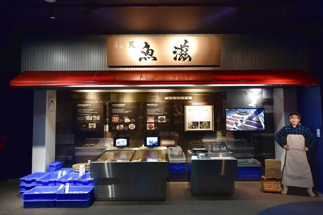 Lake Biwa Museum Adimission in Shiga - Follow three threads through the permanent exhibition