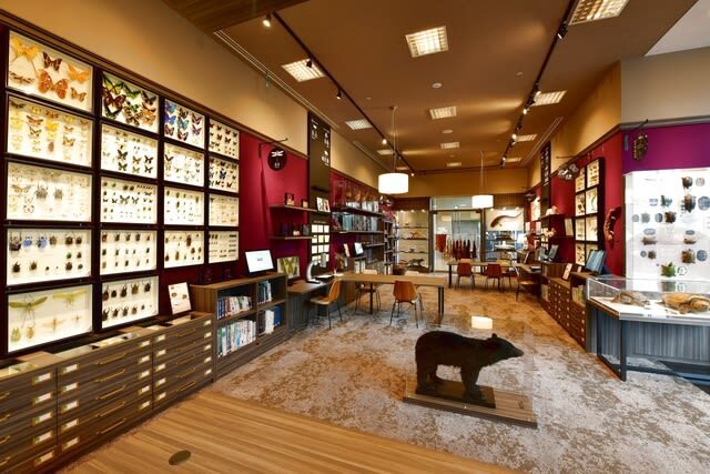 Lake Biwa Museum Adimission in Shiga - Let children explore, not just look